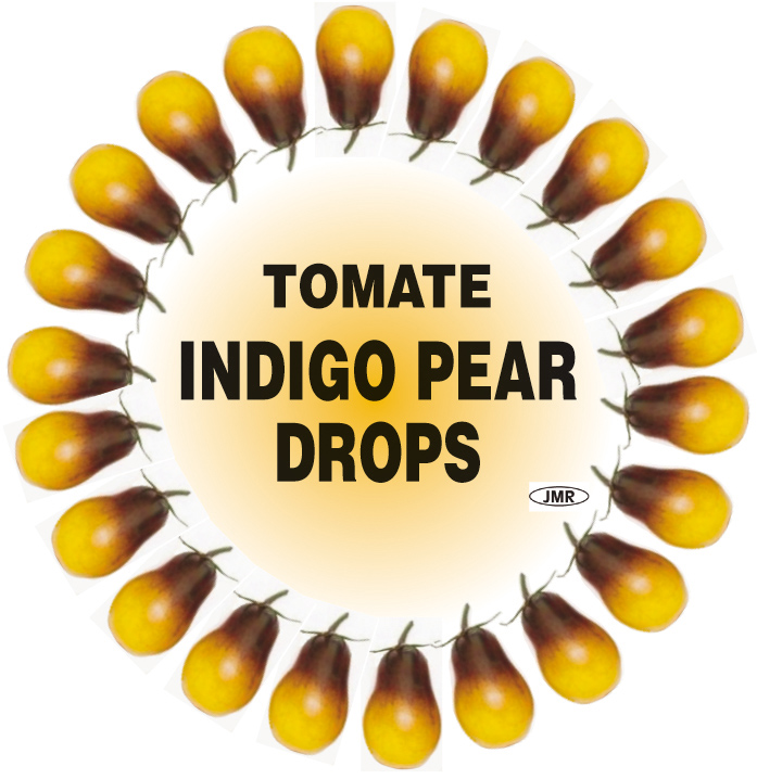 indigo pear