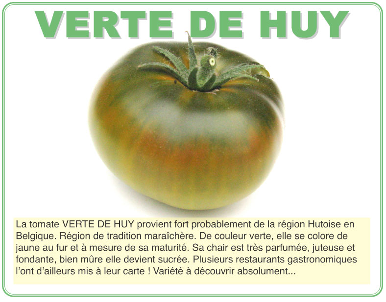 verte de huy