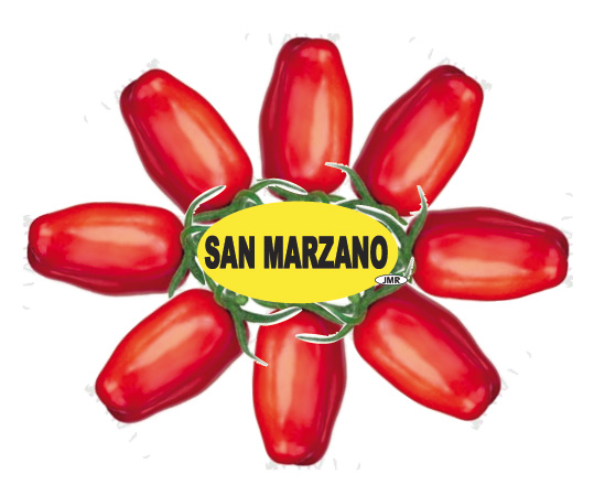 san marzano groupe